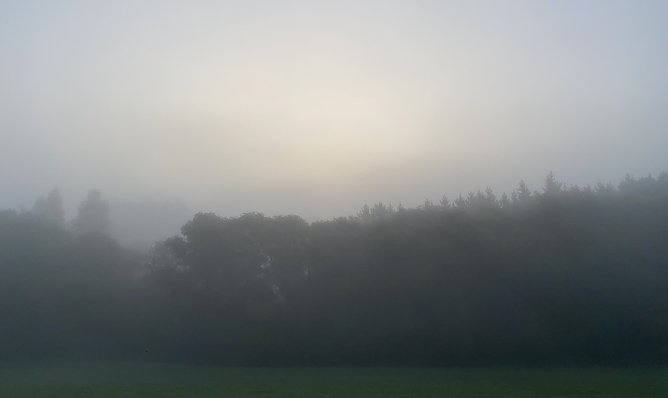 Vielfach ist es neblig im Freistaat und die Sonne k&auml;mpft sich nur langsam durch (Foto: oas)