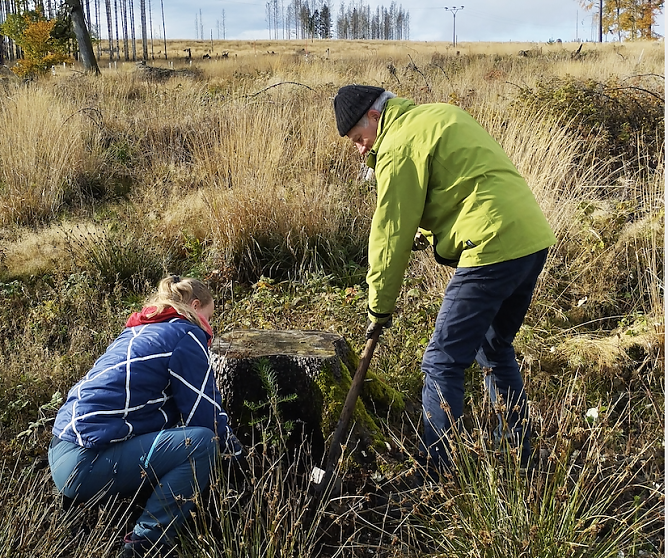 Pflanzaktion im S&uuml;dharz (Foto: Th&uuml;ringenForst)