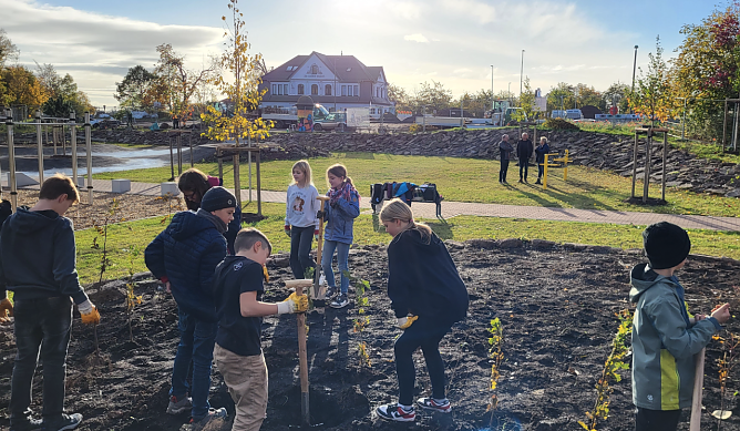 Zur Einweihung wurde ein kleiner Wald gepflanzt (Foto: Stadt Nordhausen)
