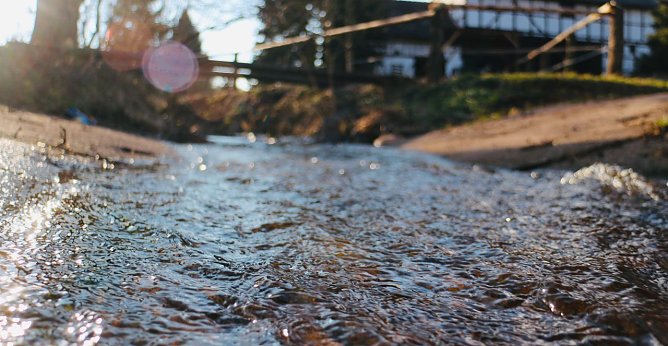 Wo Wasser fließt ist Leben (Foto: agl) Wo Wasser fließt ist Leben (Foto: agl)