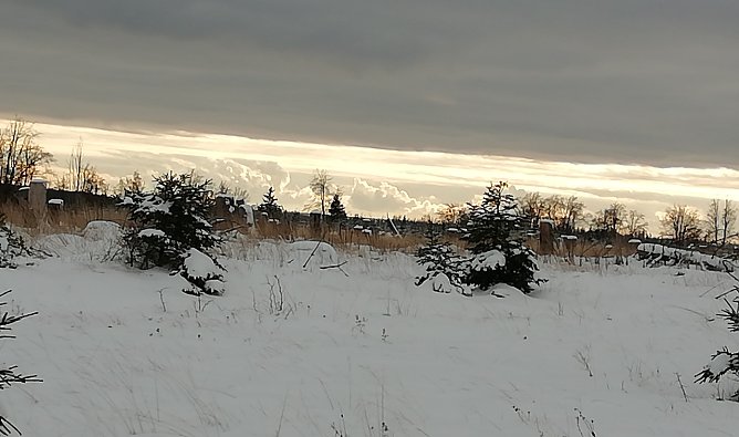 Sophienhof heute Morgen (Foto: Wolfgang Jörgens) Sophienhof heute Morgen (Foto: Wolfgang Jörgens)