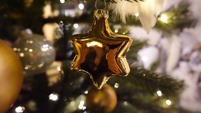 Weihnachtliches Gold (Foto: nnz)