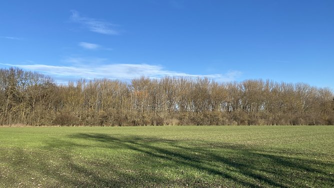 Am Badewäldchen bei Bad Langensalza (Foto: oas) Am Badewäldchen bei Bad Langensalza (Foto: oas)