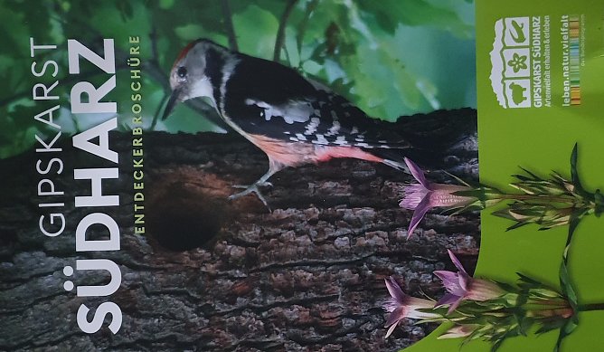 Der Landschaftspflegeverband S&uuml;dharz-Kyffh&auml;user e.V. ist Herausgeber der Brosch&uuml;re "Gipskarst S&uuml;dharz". (Foto: Bodo Schwarzberg)