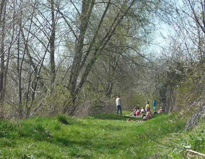 Sonnenstrahlen locken an den Strand (Foto: Marko H.)
