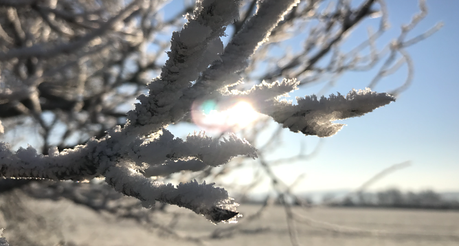 Wetterbild (Foto: nnz-Archiv)