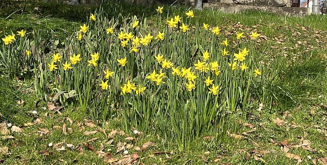 Sommerliches Wetter lockt am Wochenende in die aufbl&uuml;hende Natur (Foto: oas)