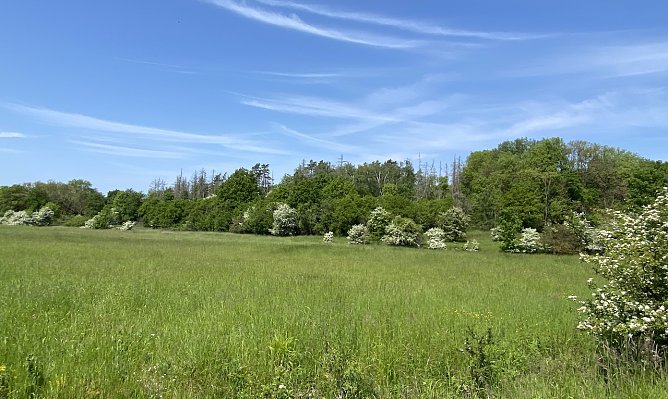 Das fr&uuml;hsommerliche Wetter bleibt erhalten (Foto: oas)