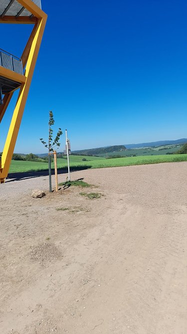 Wie versprochen: K&uuml;bel und M&uuml;ll wurden entfernt (Foto: Andreas Heise)