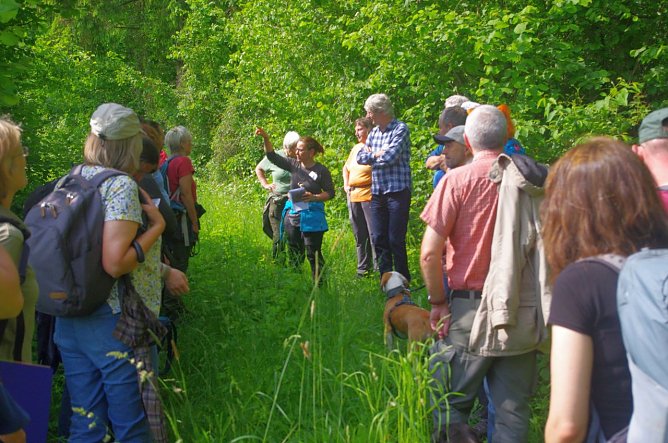 Haselmausland am Trogstein: Akteure aus drei L&auml;ndern trafen sich hier zum &ouml;ffentlichen Austausch, Kartiererin Stephanie Russo erl&auml;utert das Ehrenamtsprojekt des BUND (Foto: privat)