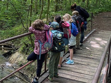 Kleine Entdecker im Wald (Foto: Katja Westermann-Credo)