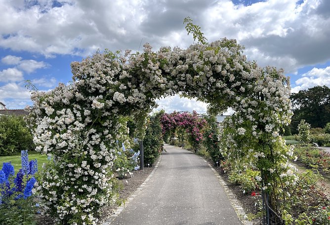 Weiterhin unbeständiges Wetter (Foto: oas) Weiterhin unbeständiges Wetter (Foto: oas)
