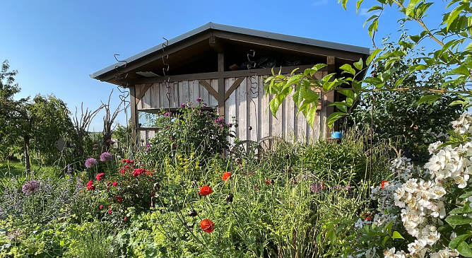 Ein Blick auf den Garten der Familie Wernicke aus Trebra, einer der Eingangsg&auml;rten f&uuml;r den "Tag der offenen G&auml;rten" am kommenden Sonntag (Foto: Diana Moravek)