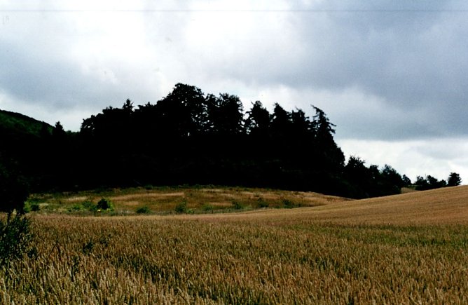 Wohngbäude der Scharrs in Utterode (Foto: H.Kneffel) Wohngbäude der Scharrs in Utterode (Foto: H.Kneffel)