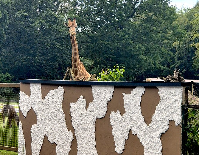 Serengeti Park in Hodenhagen (1) (Foto: Familie Steinecke) Serengeti Park in Hodenhagen (1) (Foto: Familie Steinecke)