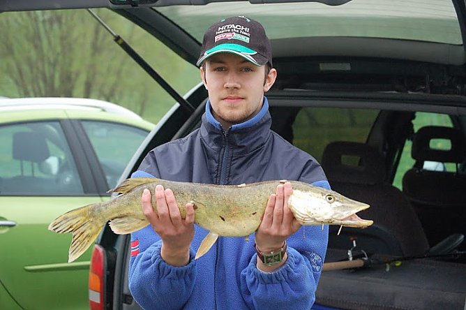 angel (Foto: michel) angel (Foto: michel)