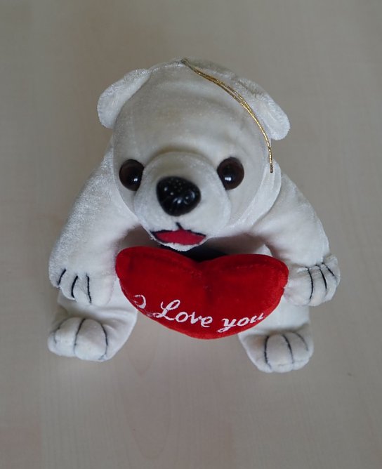 Wem geh&ouml;rt der Pl&uuml;schteddy? (Foto: LPI)