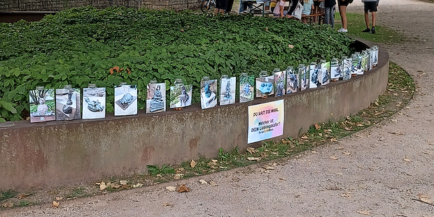 Keine leichte Wahl - 25 Treppenkäfer finden sich in Nordhausen (Foto: JuSoWe) Keine leichte Wahl - 25 Treppenkäfer finden sich in Nordhausen (Foto: JuSoWe)
