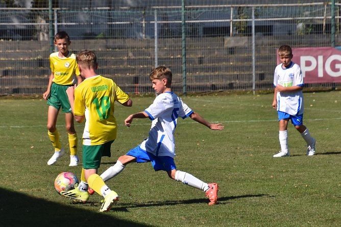 Wackers D 2 gastierte in der Goethestadt (Foto: Martina Nebelung)