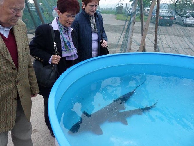 Fischerfest Auleben (Foto: Karl-Heinz Herrmann) Fischerfest Auleben (Foto: Karl-Heinz Herrmann)