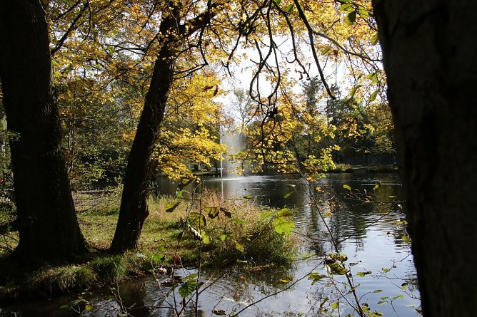 Wetterbild (Foto: agl) Wetterbild (Foto: agl)