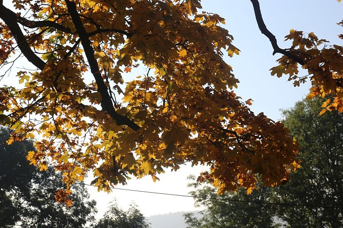 Wetterbild (Foto: agl) Wetterbild (Foto: agl)