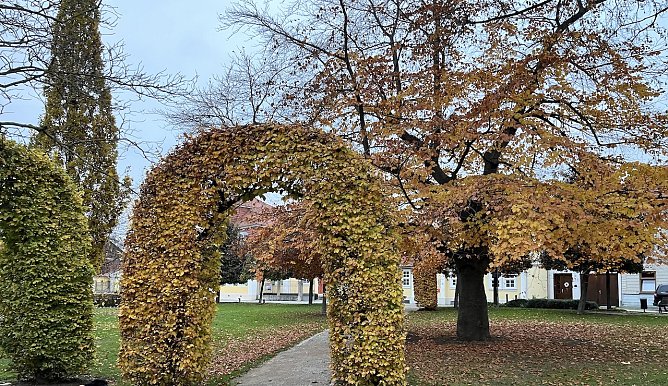 Rostfarbener Kurpark in Bad Langensalza (Foto: oas)
