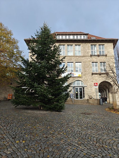 Weihnachtsbaum auf dem Rathausplatz (Foto: Peter Blei) Weihnachtsbaum auf dem Rathausplatz (Foto: Peter Blei)