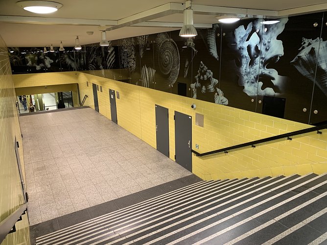 U-Bahnhof in Berlin (Foto: Möller privat) U-Bahnhof in Berlin (Foto: Möller privat)