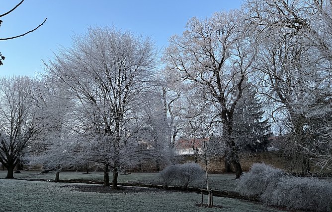 Anhaltend strenge Nachtfröste in den nächsten Tagen (Foto: oas) Anhaltend strenge Nachtfröste in den nächsten Tagen (Foto: oas)