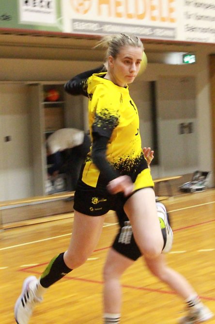 Handball-Oberliga Frauen (Foto: Uwe Tittel) Handball-Oberliga Frauen (Foto: Uwe Tittel)