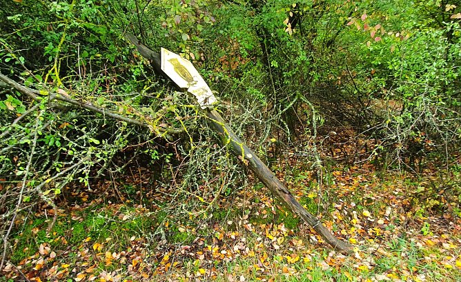 Dieses Naturschutzgebietsschild, aufgenommen im Herbst 2020 im NSG R&uuml;digsdorfer Schweiz, ist, wie viele andere auch, nicht, wie im Beitrag des Landkreises Nordhausen vom 14.03. u.a. beklagt, Vandalismus zum Opfer gefallen, sondern einer Nichtumsetzung geltenden Naturschutzrechts durch verantwortliche Institutionen.  (Foto: B.Schwarzberg)