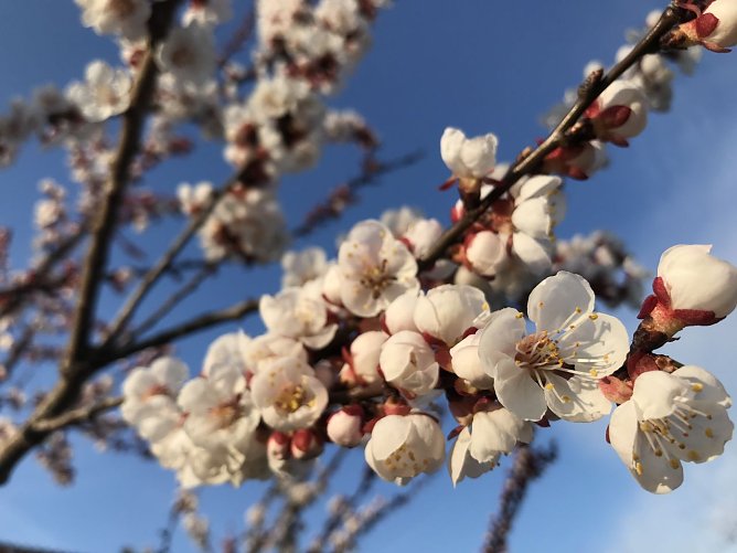 Wetterbild (Foto: nnz) Wetterbild (Foto: nnz)