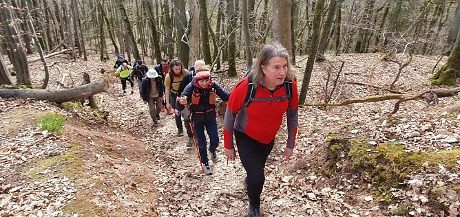 Die Wanderer hatten auf 100 Kilometer ca. 1.600 H&ouml;henmeter zu bew&auml;ltigen. Hier geht es einen Weg zwischen Heimkehle und Rottleberode hinauf.  (Foto: Bodo Schwarzberg)