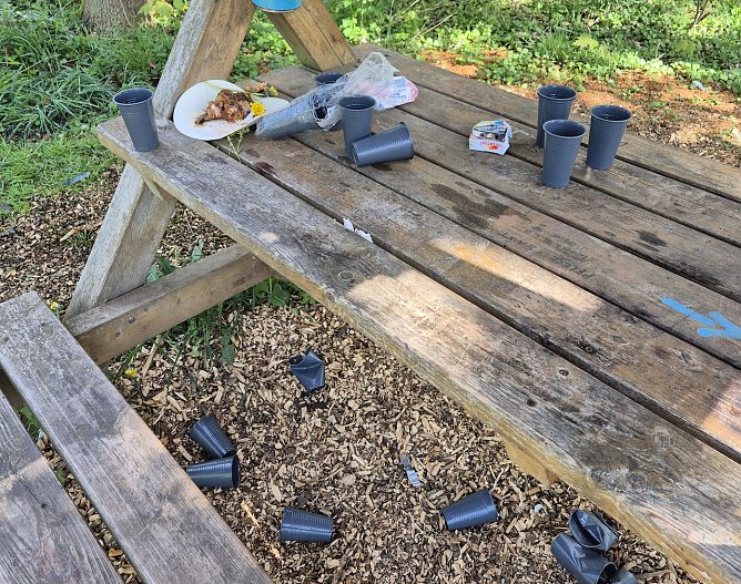 Partyreste im Park Hohenrode (Foto: A.Adlerauge)