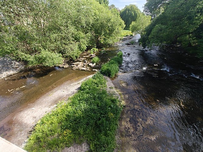 Zustand an der Zorgepromenade (Foto: Peter Blei)