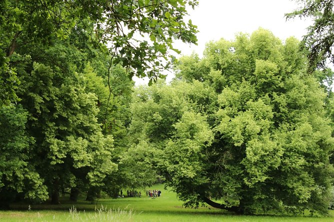 Wetterbild (Foto: agl) Wetterbild (Foto: agl)