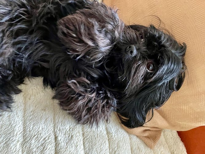 Wo ist Torvi? (Foto: K. Köster) Wo ist Torvi? (Foto: K. Köster)