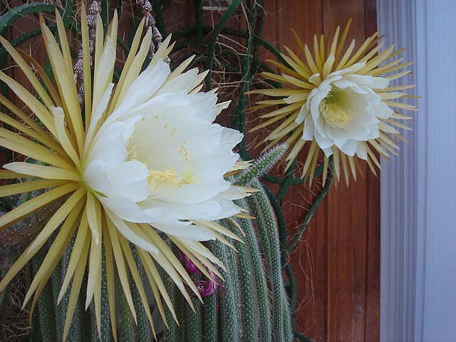 F&uuml;r eine Nacht (Foto: J. Bierwisch)