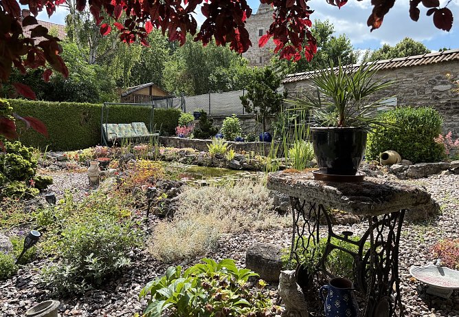 Garten in Bad Langensalza (Foto: uhz Archiv) Garten in Bad Langensalza (Foto: uhz Archiv)