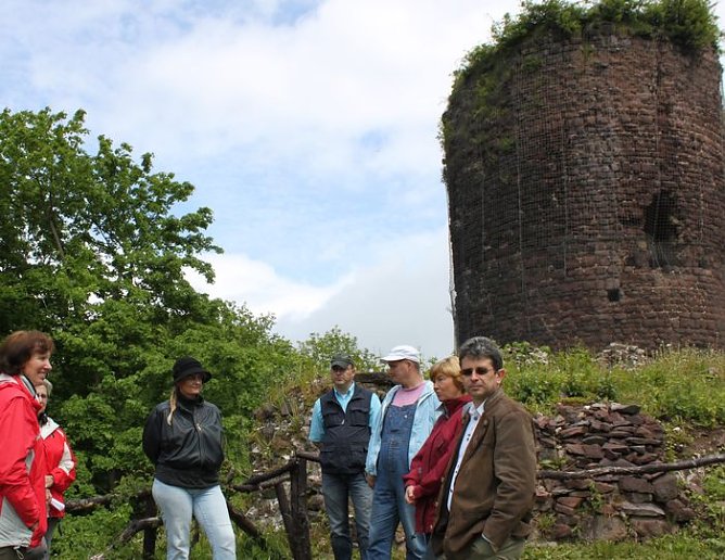 Wandernadel (Foto: J. Piper)