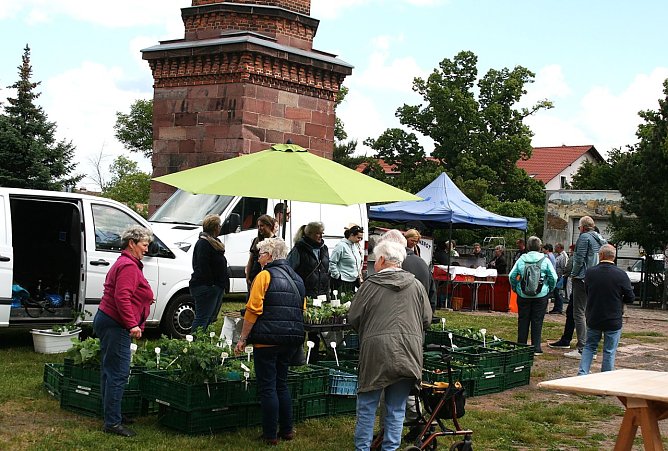 Bauernmarkt (Foto: U.Reinboth )