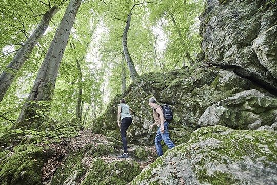 Wer wandert denn so gerne? (Foto: ADAC)