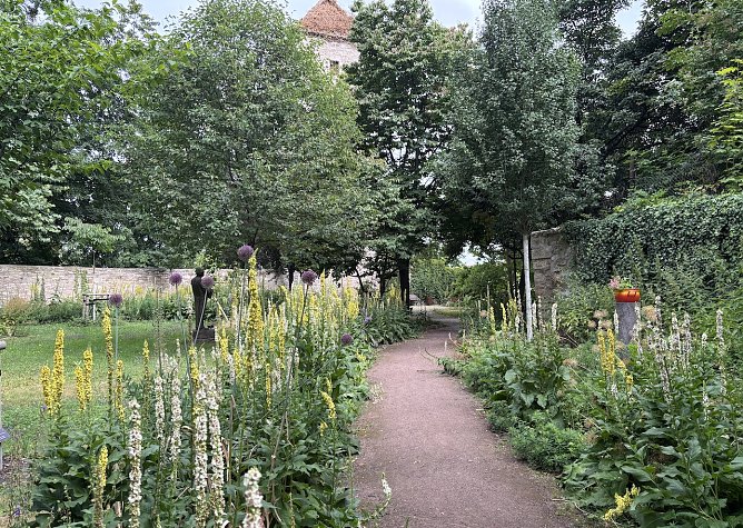 Morgen wieder Gewitter (Foto: oas)