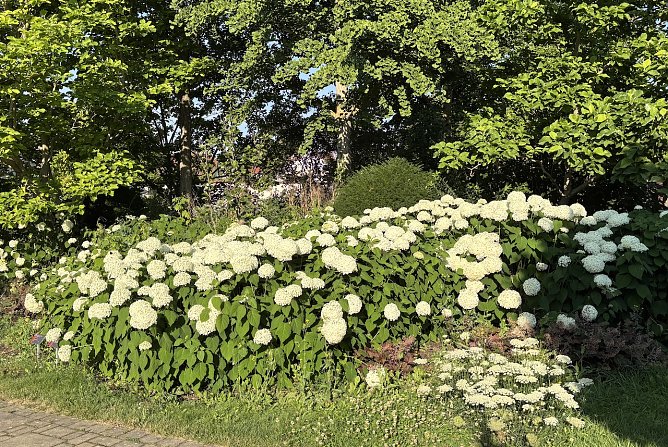 Heute regnerisch und stürmisch (Foto: oas) Heute regnerisch und stürmisch (Foto: oas)