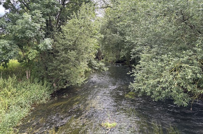 Im Unstrut-Tal (Foto: oas) Im Unstrut-Tal (Foto: oas)