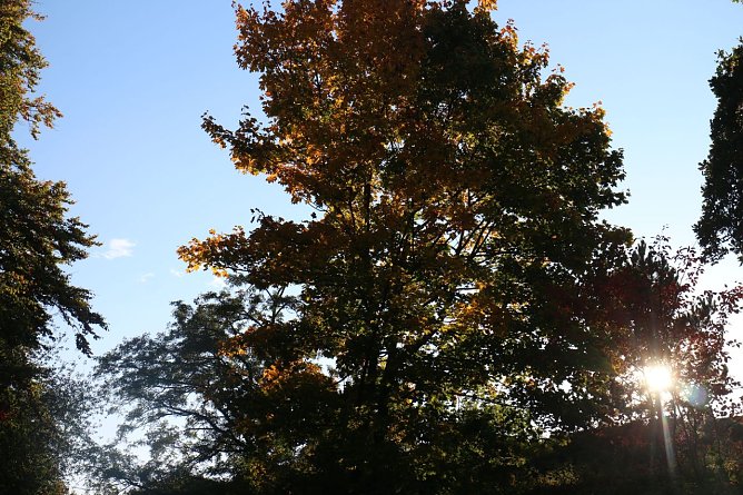 Wetterbild (Foto: agl)