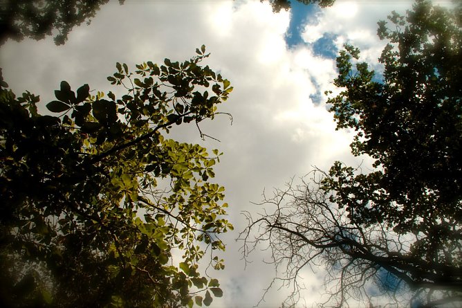 Wetterbild (Foto: agl) Wetterbild (Foto: agl)