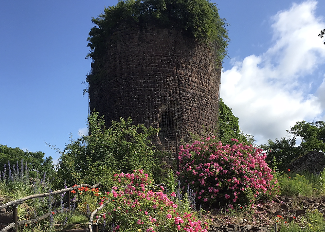 Im Sommer zeigt sich die Ebersburg von ihrer sch&ouml;nsten Seite (Foto: Verein f&uuml;r lebendiges Mittelalter)