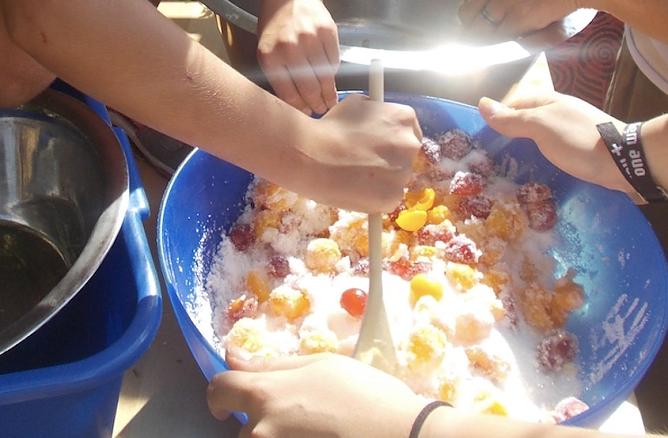 Beim Kinder-Kirchen-Laden will man am Freitag Mirabellen verarbeiten (Foto: Frank Tuschy)